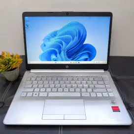Hp 14s-cf2004TX Ci5-10210U/8GB/SSD 512GB/Radeon Graphics/14 FHD/Win11