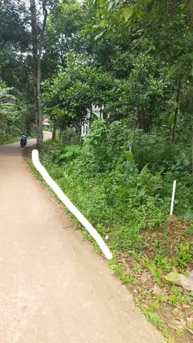 Tanah Kebun 500m² Jonggol Cileungsi Bogor Timur