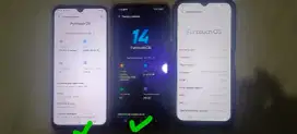 Borongan vivo murah