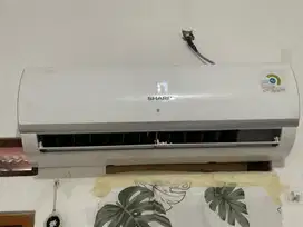 Ac sharp 1 pk 2024