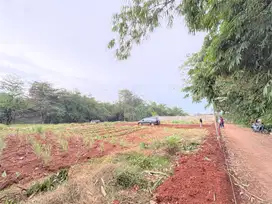 Kavling SHM Dekat Jl. Raya Tranyogi, Bisa Angsur Tanpa Bunga