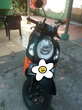 Honda scoopy thn 2022