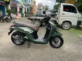 GENIO FABULOUS 2023 (MATTE GREEN)