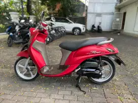FINO GRANDE 2019 (GRATIS BLK NAMA)
