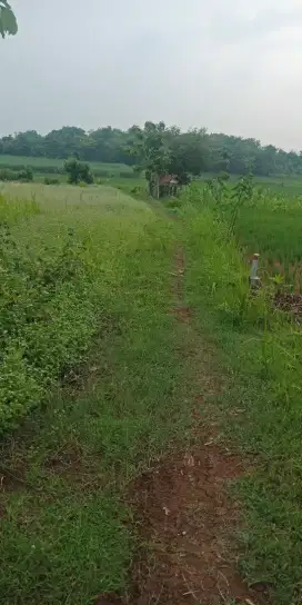 Tanah Sawah Samping Bandara Kertajati Majalengka