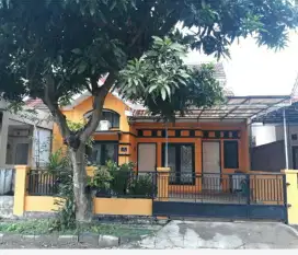 Rumah disewakan