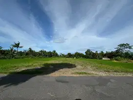 Tanah SHM P Belakang Kampus UII Jogja, 2 Juta-an