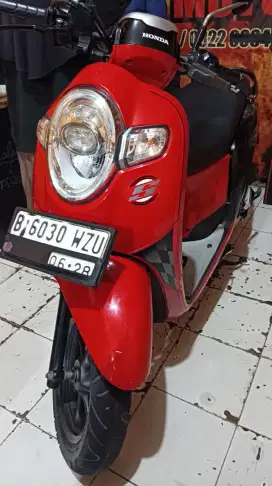 Honda Scoopy gress
