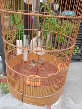 Sanma Branjangan