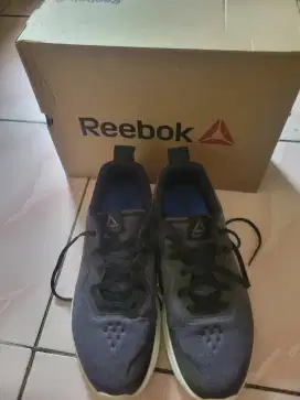 Reebook Astroride Perigee Sneakers Men