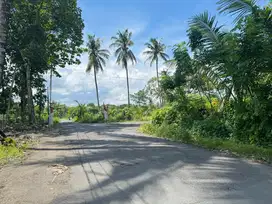 Termurah, Tanah Jogja Utara Cocok Bangun Villa