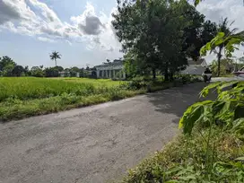 Cocok Untuk Hunian Atau Kos Tanah Apik Banyuraden Jogja Dalam Ringroad