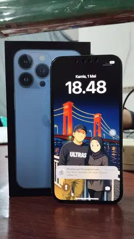 iPhone 13 Pro 256 Gb (Ex Inter)