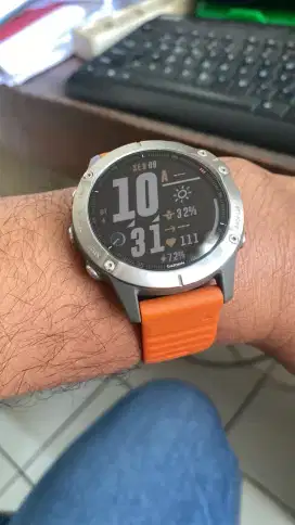 Jam Garmin finix 6 shapire titanium