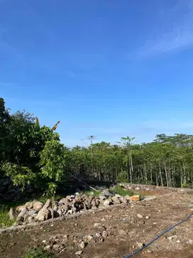 5 Tanah Kavling siap bangun,SHM,Strategis,harga dibawah pasaran