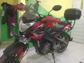 Kawasaki Pulsar 200ns