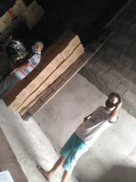Di cari kenek yg otot besi urat kawat tulang besi