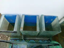 Aquarium soliter cupang tinggi 50