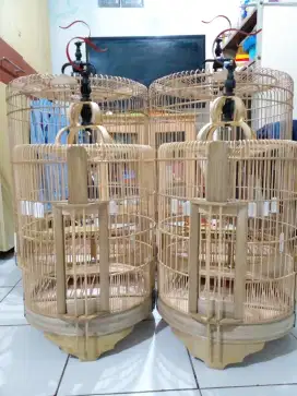 Sangkar murai dan anis mentahan