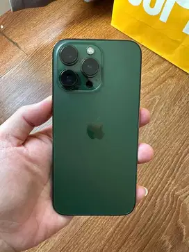 iPhone 13 Pro 256gb - Beacukai