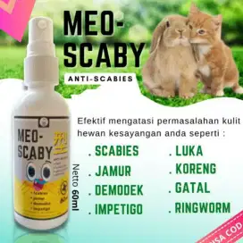 meo scaby obat jamur scabies luka borok penyakit kulit kucing spray