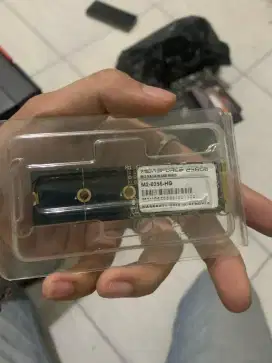 SSD M.2 SATA 256GB