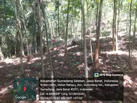 Tanah kebun lt 2 ha, ciherang sumedang sellatan