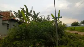 DIJUAL TANAH MURAH PEREMPATAN JALAN