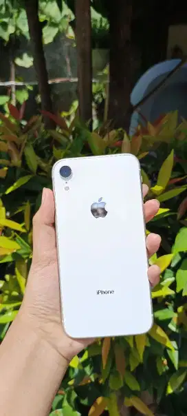 Iphone XR 128GB Bea Cukai