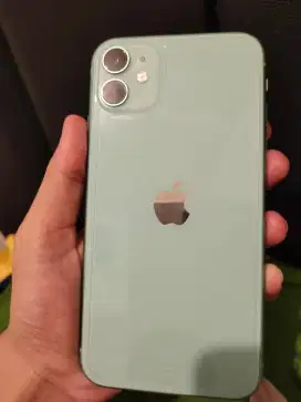 Iphone 11 128 gb green