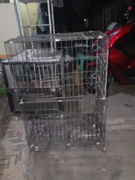 Kandang kucing tingkat besar