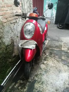 Scoopy 2014 fii