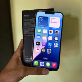 iphone 13 pro max 256 gb