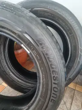 Bridgestone Ecopia