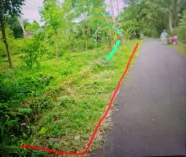 Tanah murah banget