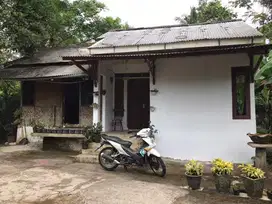 Disewakan Rumah