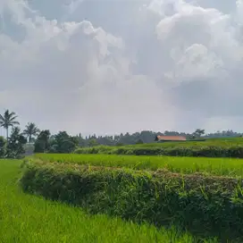 di jual tanah/lahan sawah view gunung di Ciawi