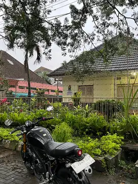 Yamaha xsr 2023