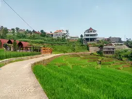 Tanah sawah pemandangan kota bandung dekat wisata