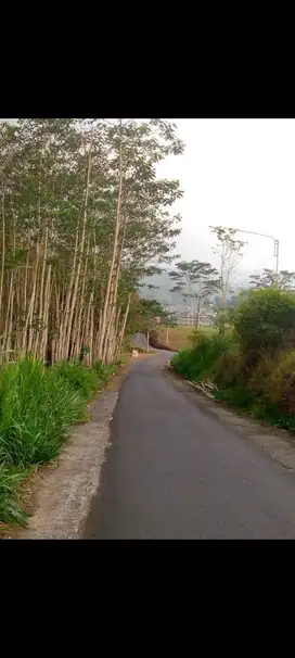 Tanah produktif view istimewa di jabung malang