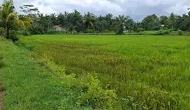 SHM & HARGA 85.000/M2 - TANAH SAWAH (4560 m2) NEGO!