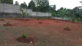 Tanah Luas Sudah ada Gudang, Kantor & Kavling Dengan Pohon Durian