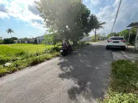 3 MENIT KAMPUS UNJANI Ringroad Barat Jogja, Prospek Kost Villa