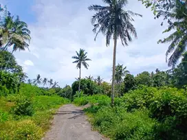 DIJUAL CEPAT LAHAN COCOK UNTUK DI KAVLING DI PINDA - SABA - GIANYAR