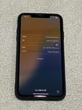 Iphone XS Max Lock Icloud