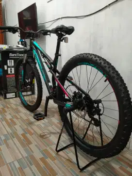 Sepeda Polygon Rayz 3.0