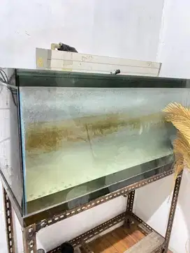 Aquarium besar free properti