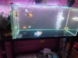 Aquarium 100x40x40 filter samping