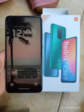 Xiaomi Note 9 4/64 Body mulus NORMAL