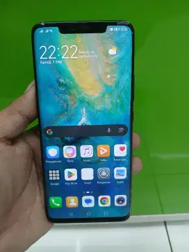 Huawei mate 20 pro normal